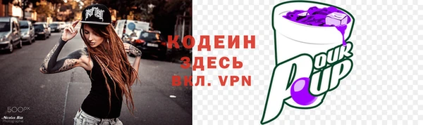 гидра Заводоуковск