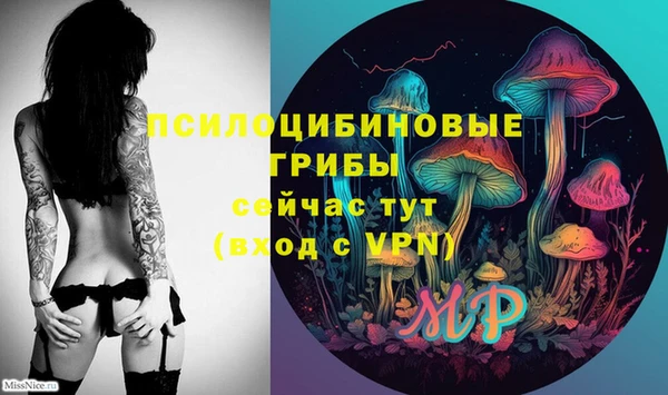 мдпв Зеленокумск