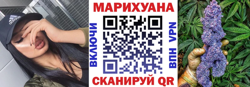 Купить где Зима Канабис гибрид